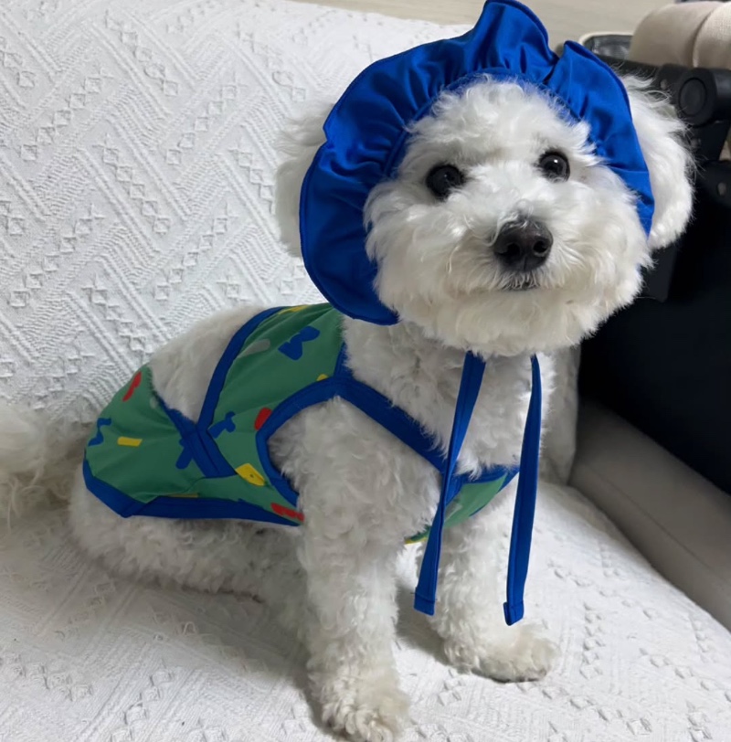 제주 살이 조오치~❤️