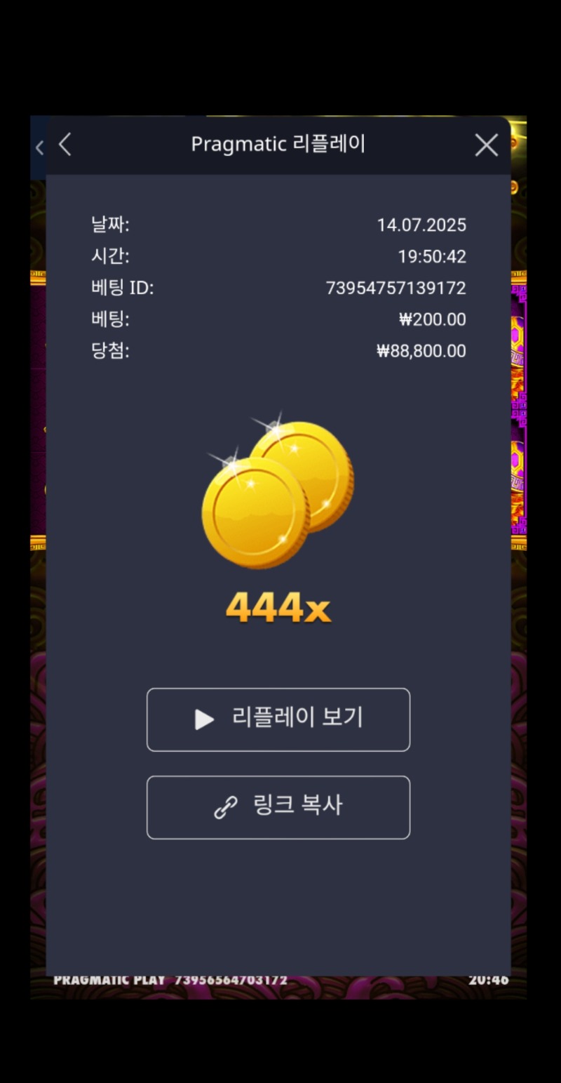 토라메 444배