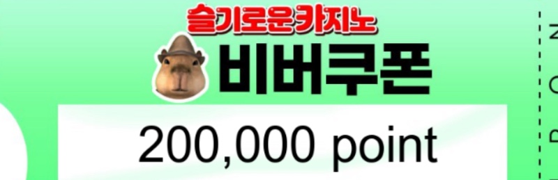 비버님 쿠폰 감사합니다!