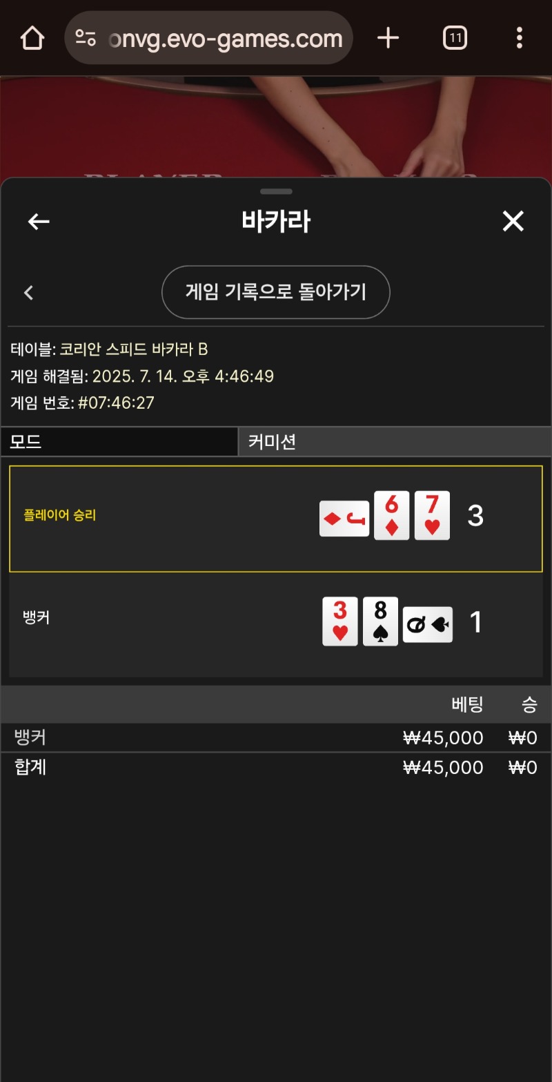 바카라 3