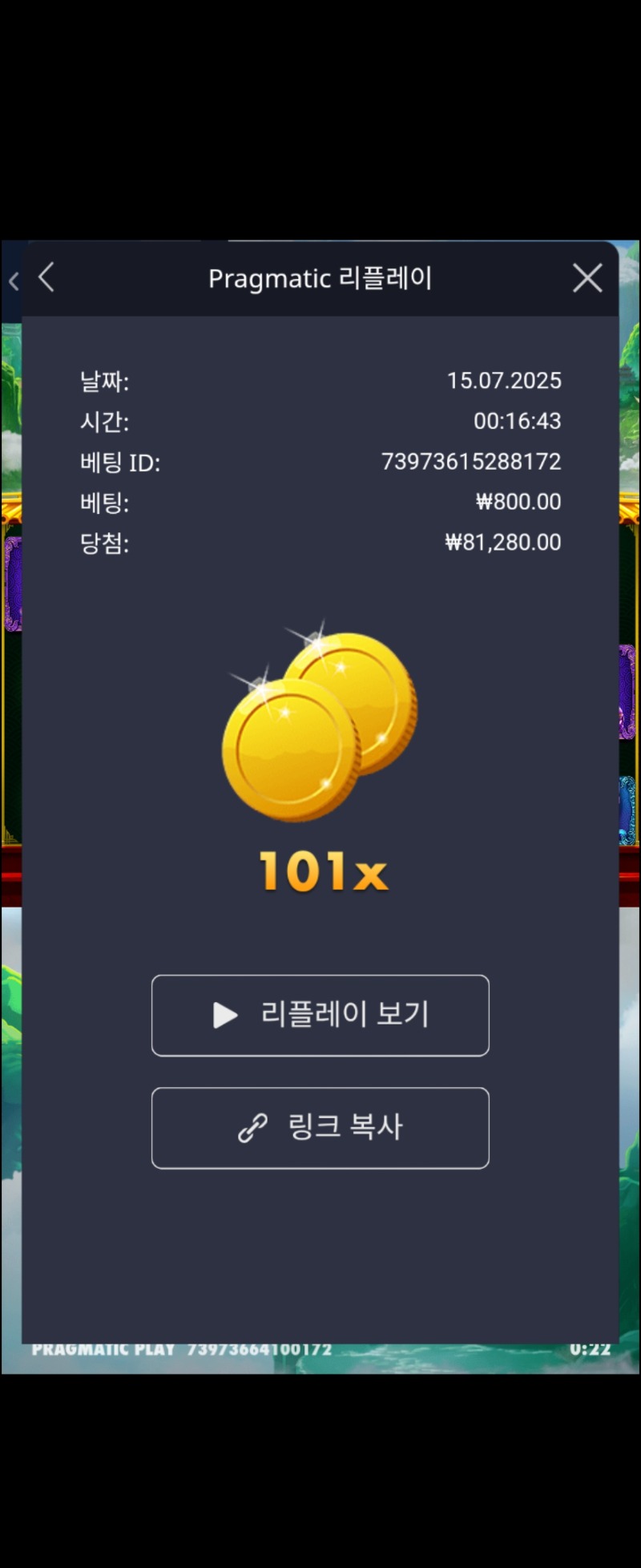 판다2 101배