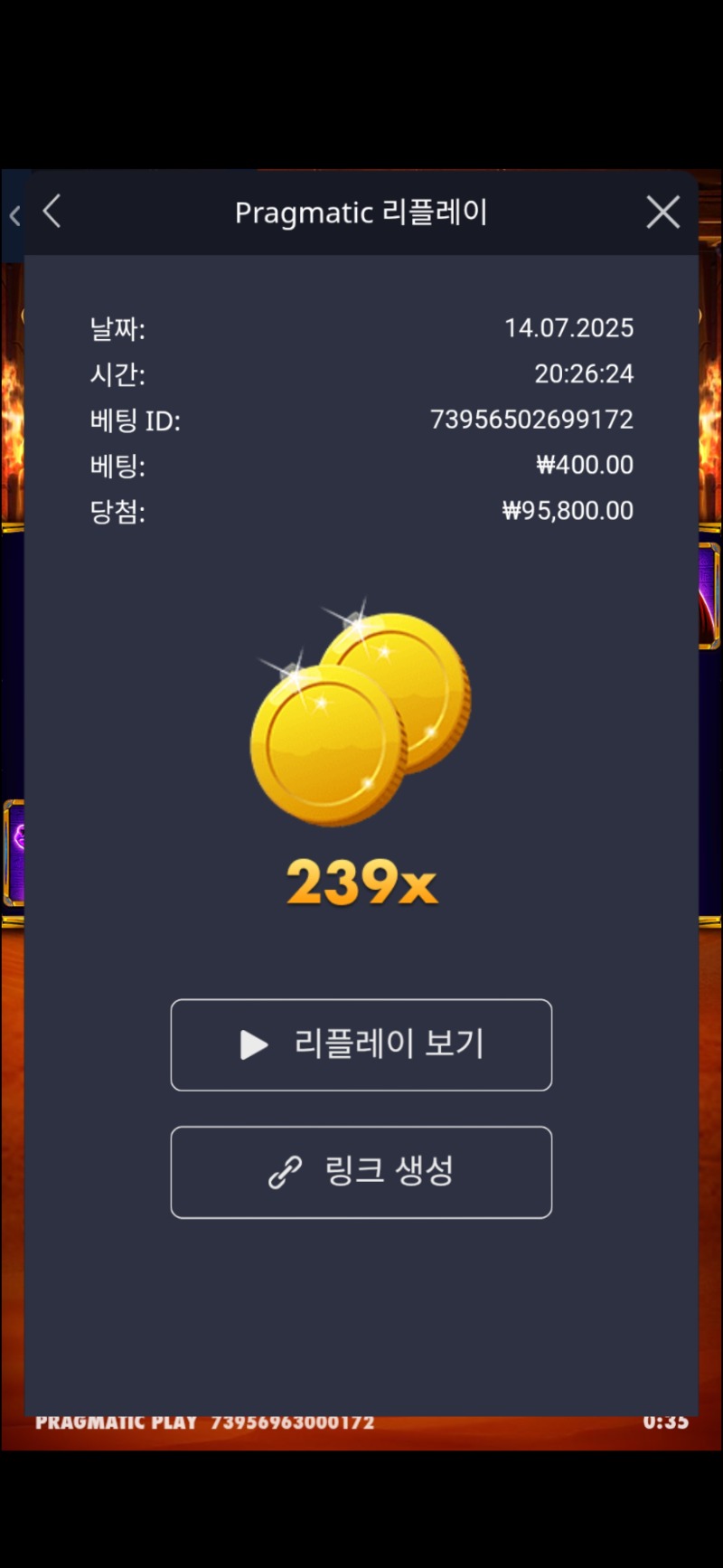이집트 클래식 239배