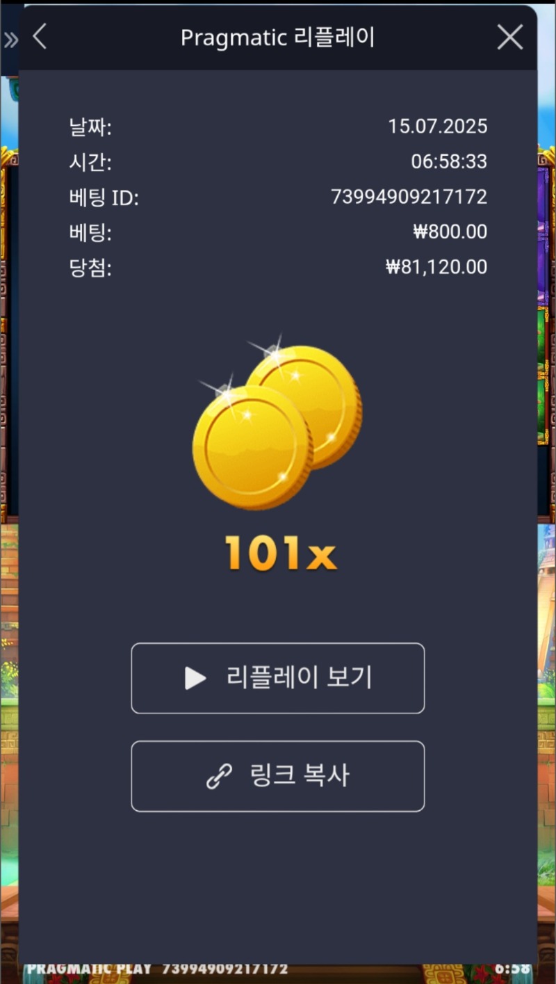 게오아 101배