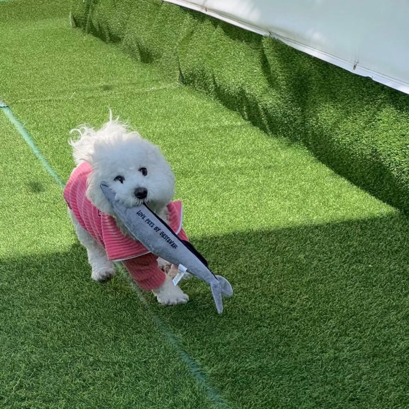 어디가....