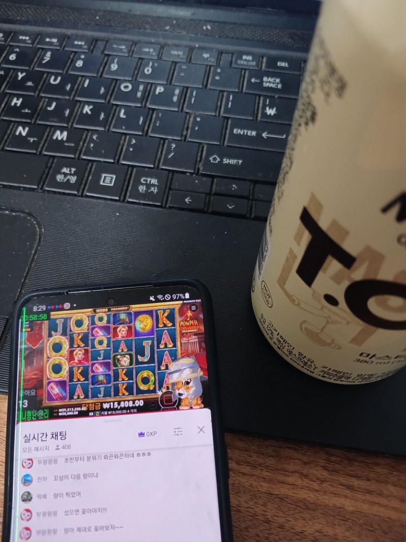 미니형난 시청 가쫨~