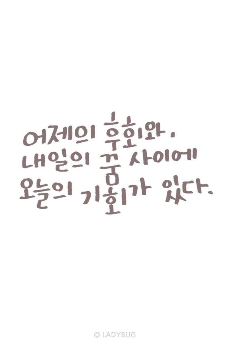 오늘도 출첵 완료