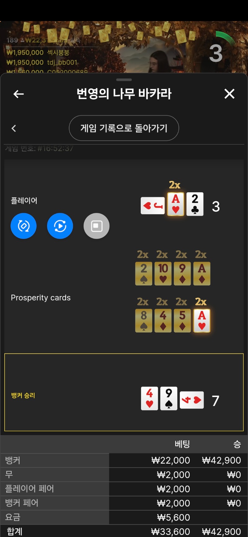 문 카라