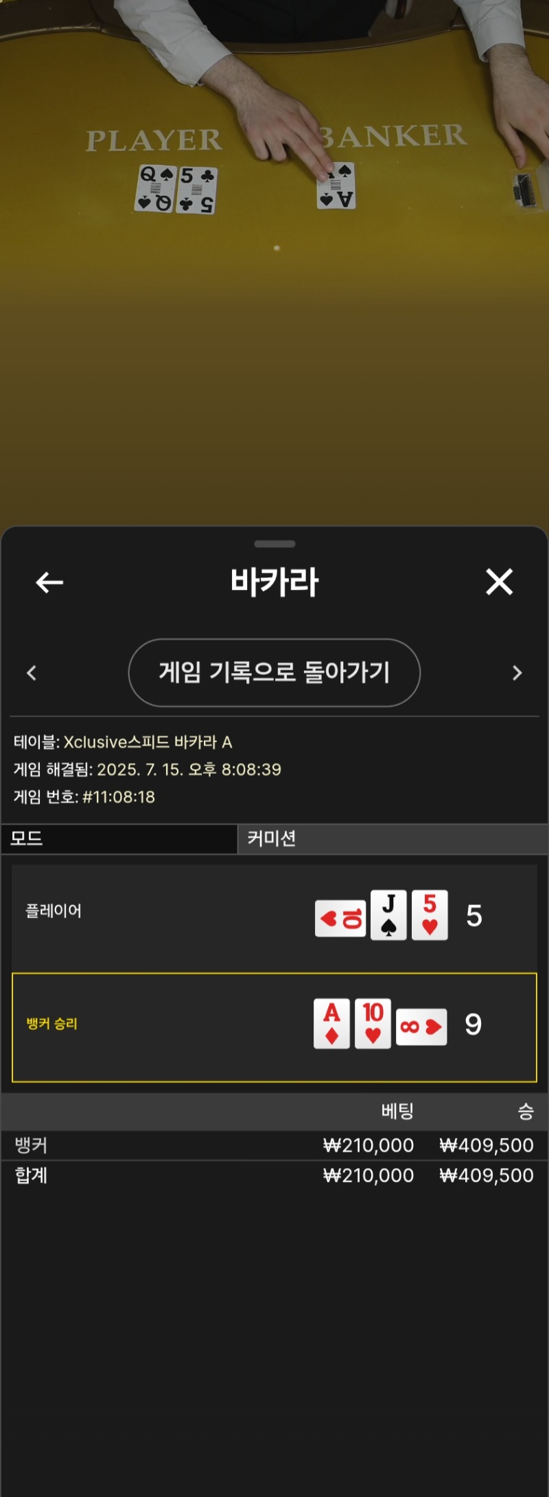 미니형난 전한판