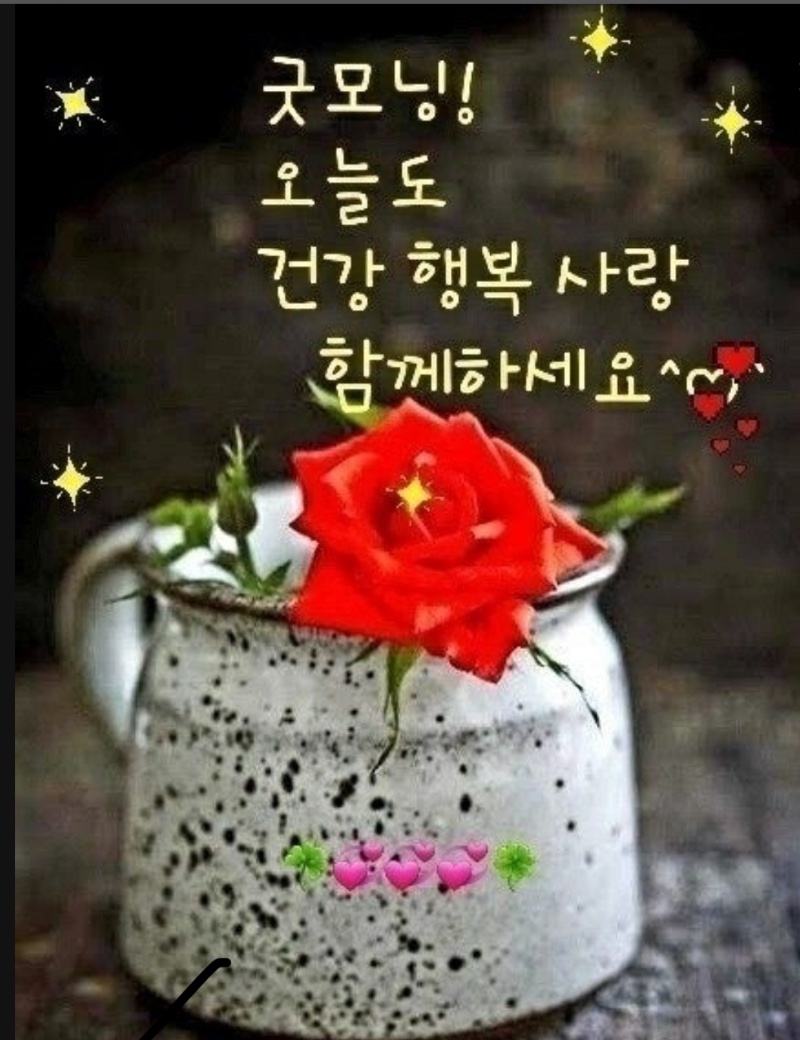 굿모닝