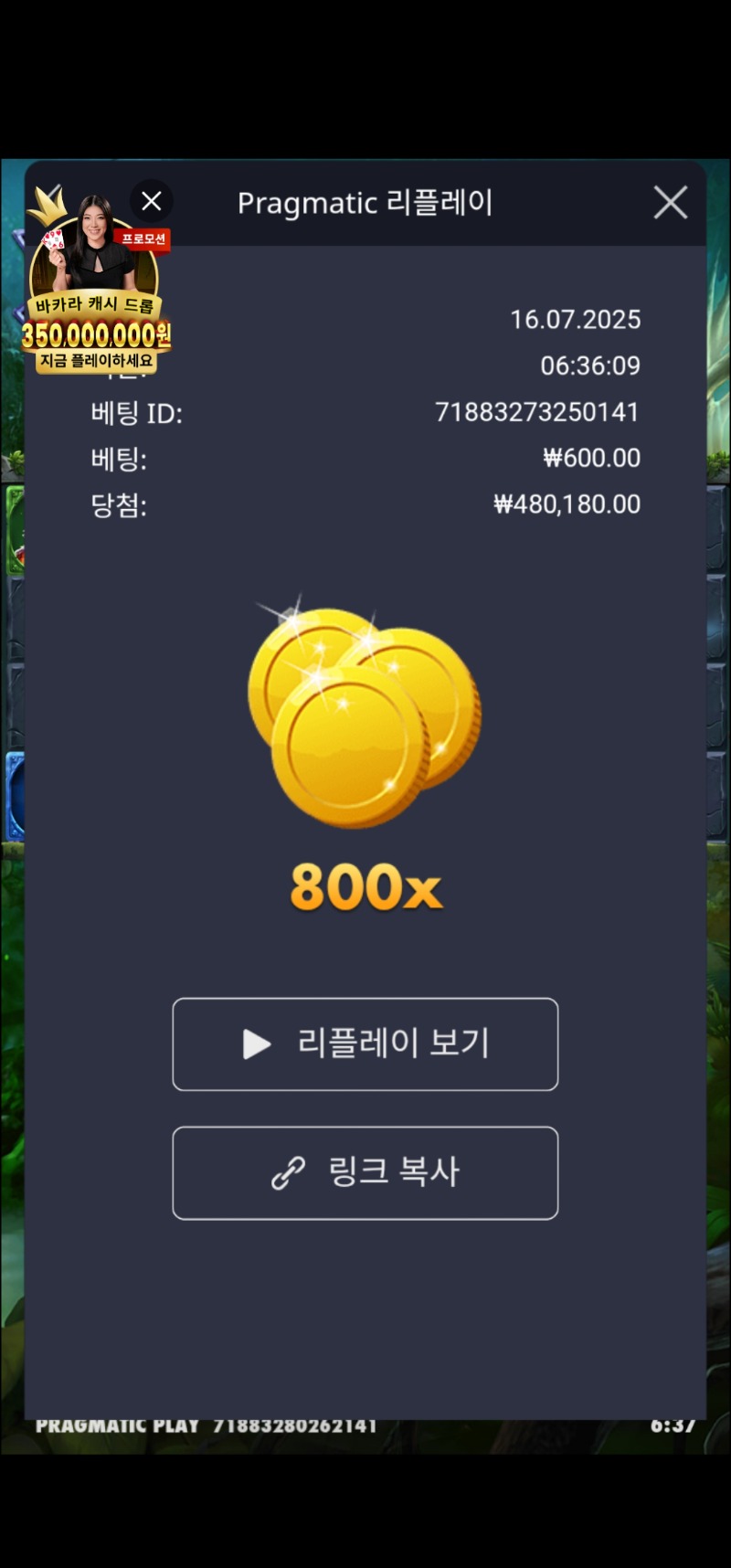 멀린 800배