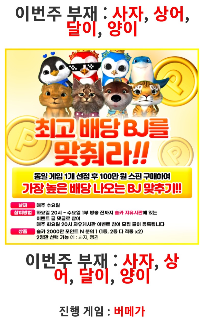 금일 최배비승자는 누가될런지~ㅎㅎㅎ