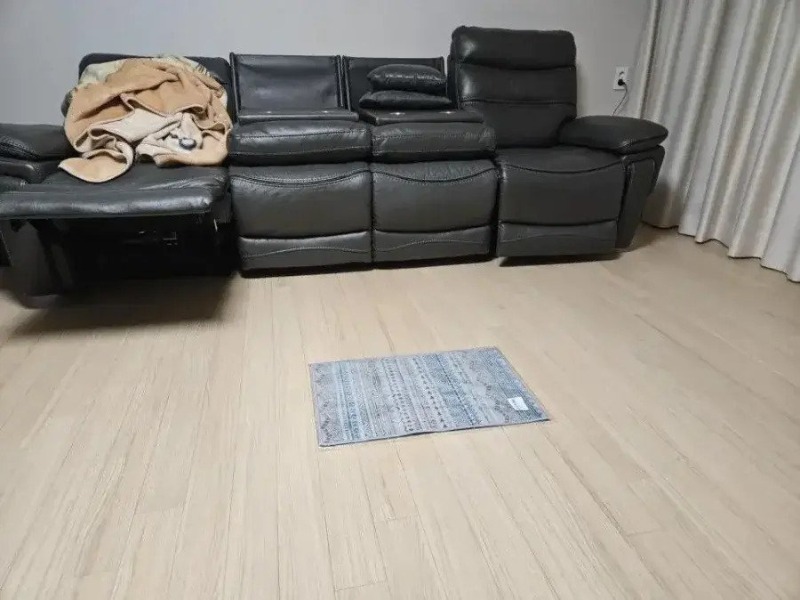 충격적인 알리익스프레스 카페트 구매후기