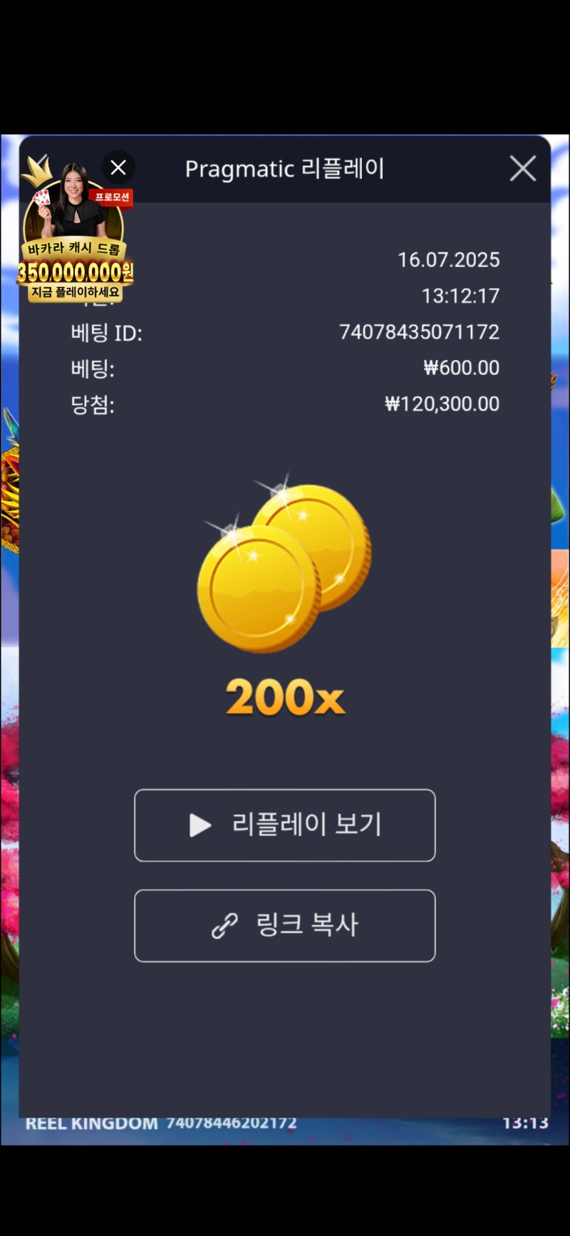 플로팅 드래곤배 200배요