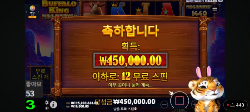 최배비 1번째순서 랑이결과