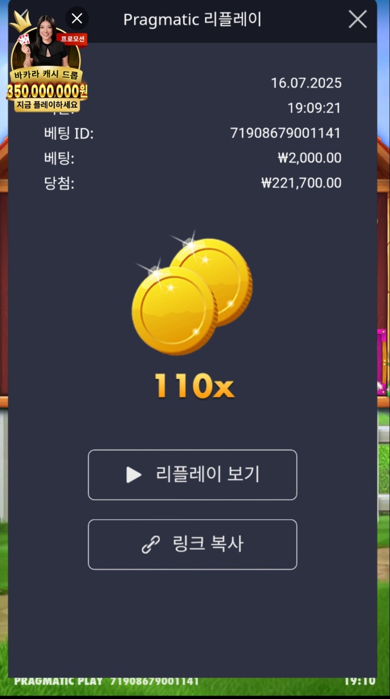 개집 110