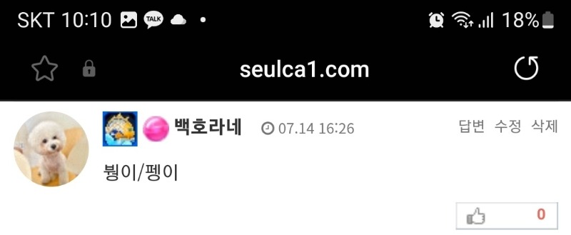 최배비  이거 맞춘건가요?