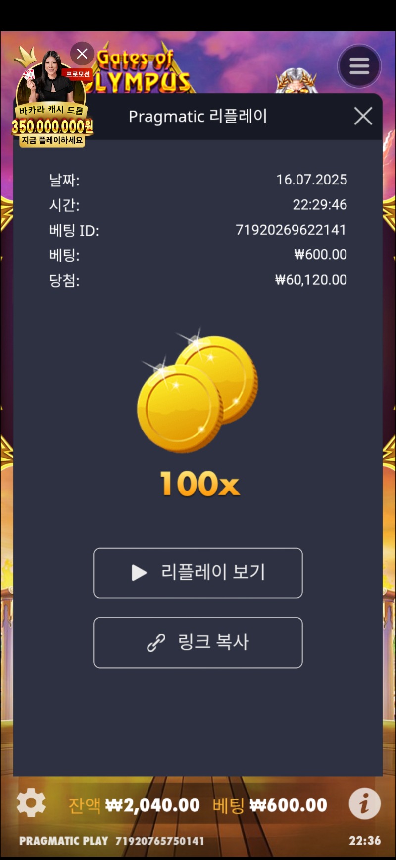 할배주사위 100배