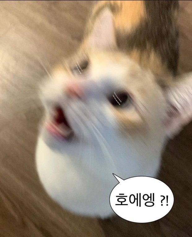난 분명 인사를하는데....