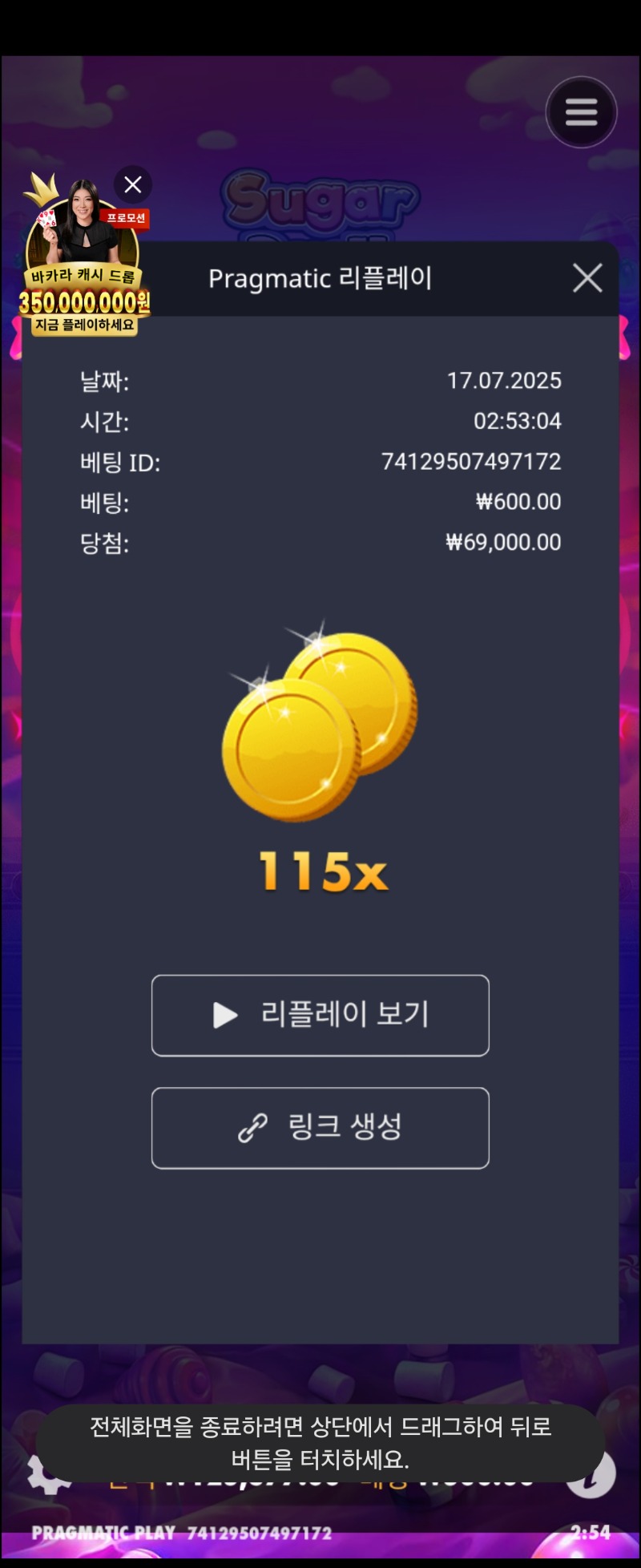 슈가1000  115배