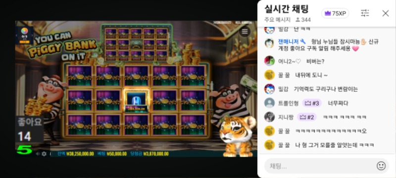 돼지랑이 방송 스타또~