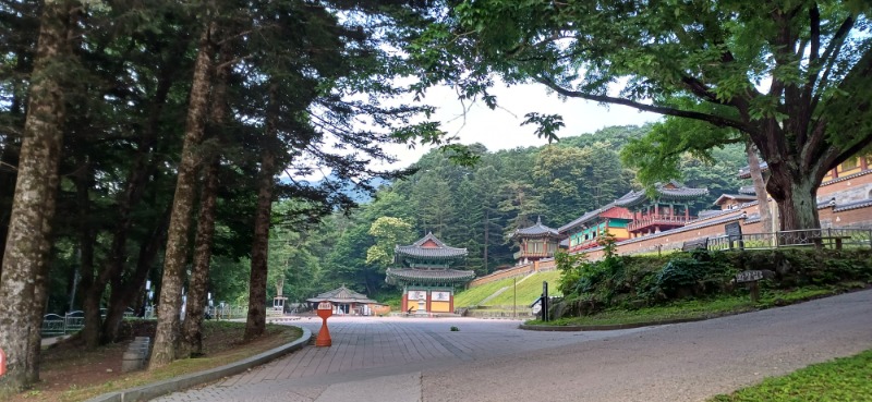 좋은아침입니다.