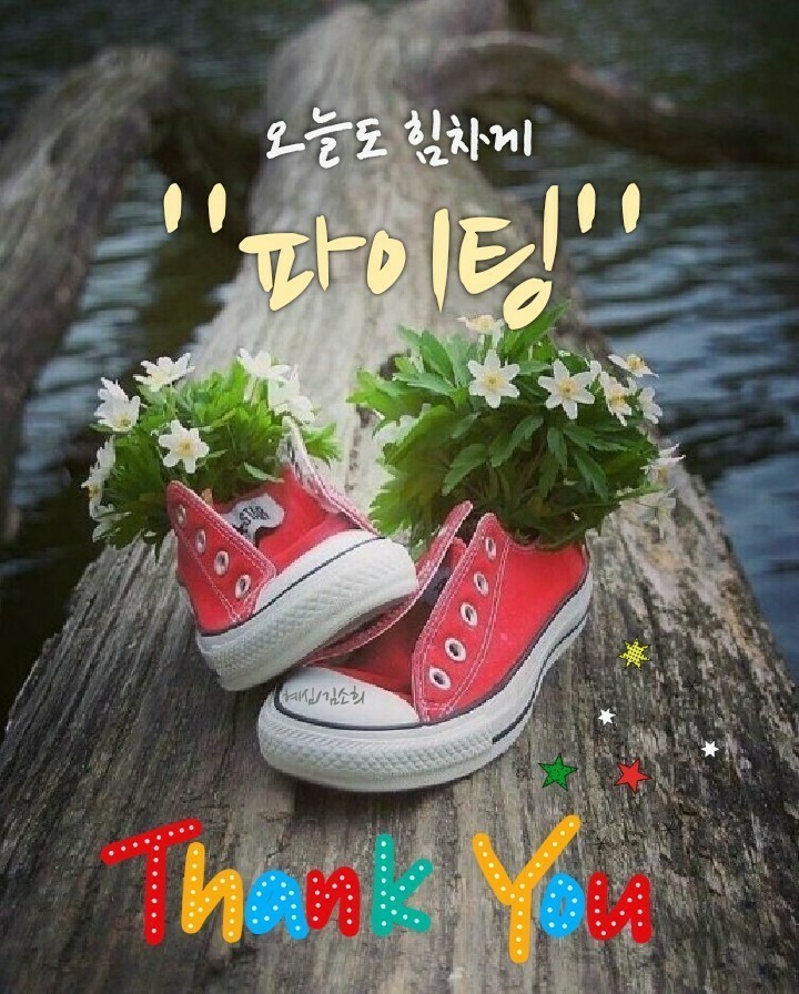 굿몽~오이가 좋은점!!
