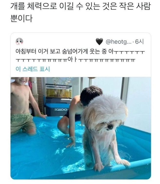 절실함이 느껴지는 당근마켓 알바