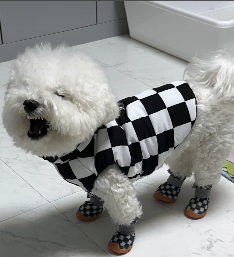 좋은 하루 되세용 !!!!