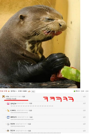 인증할게에