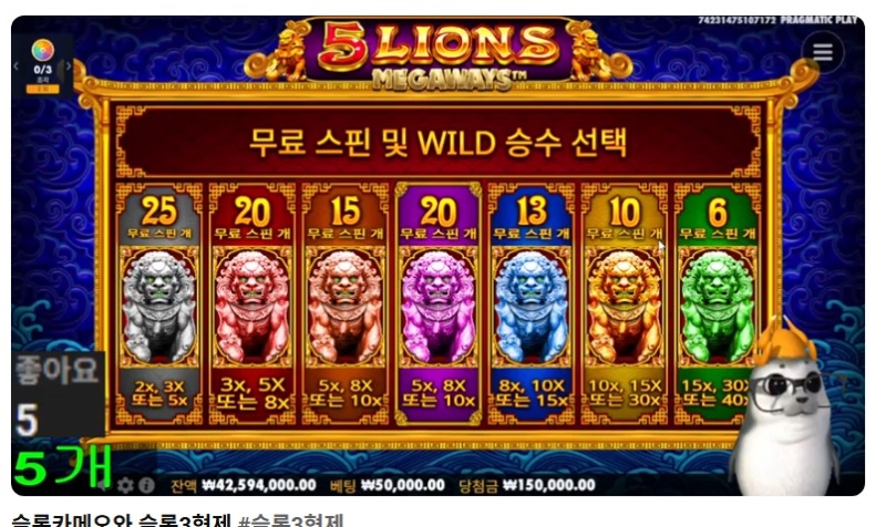 물개 왔어요~