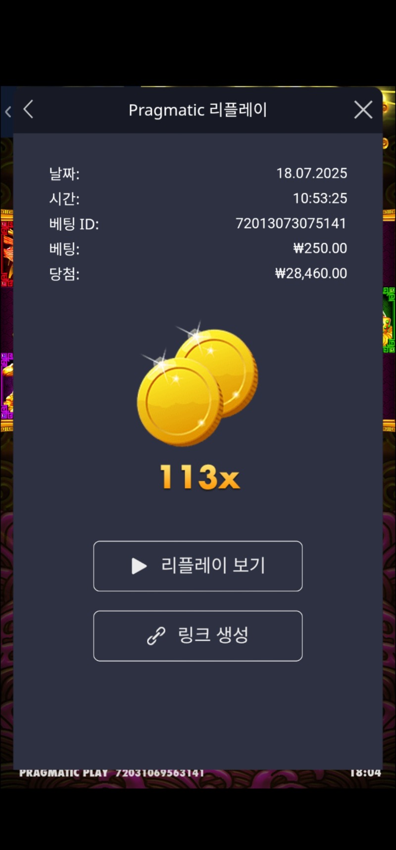 토라메 113배