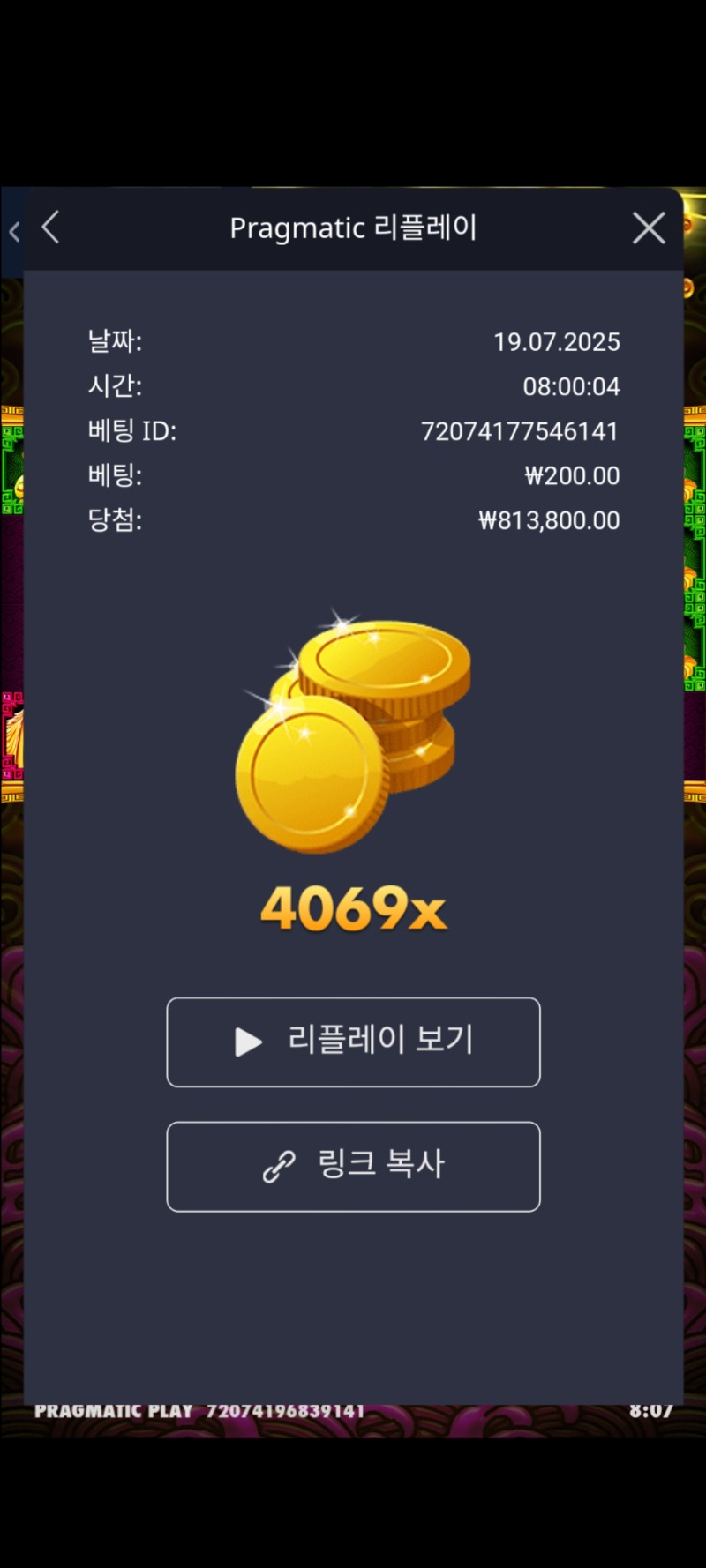 토라메4069
