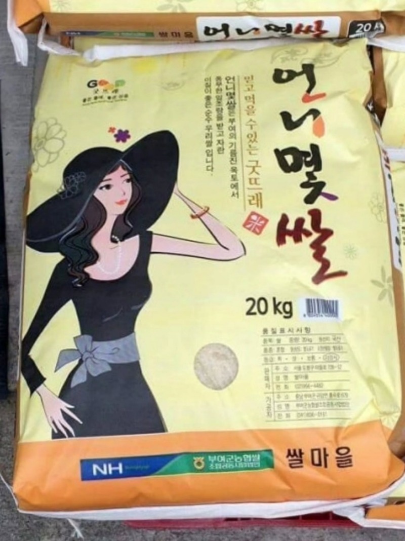 굿몽~다시마효능