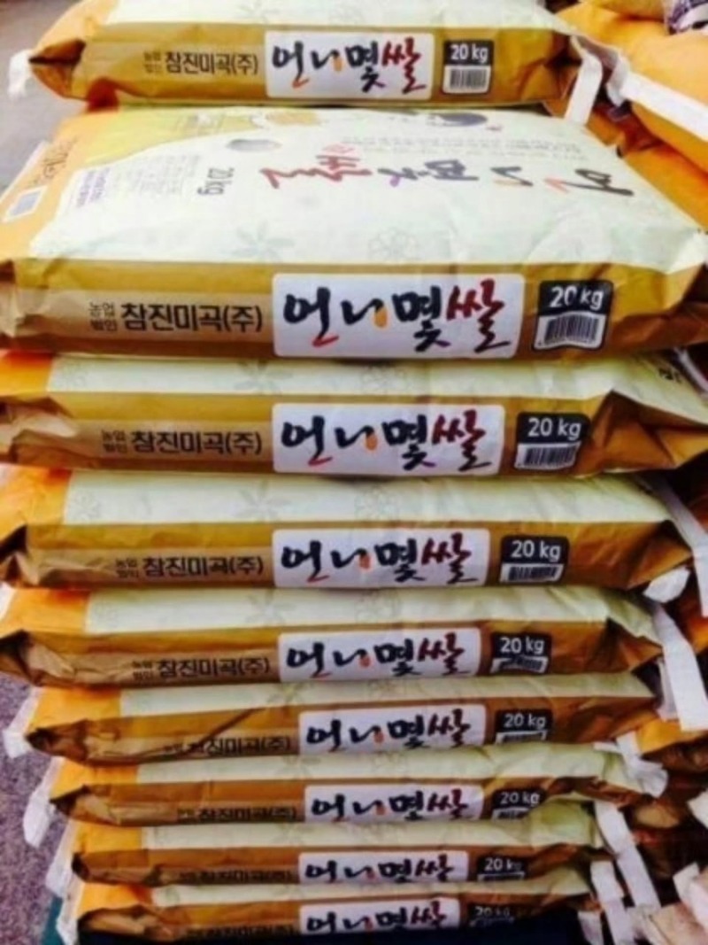 굿몽~다시마효능