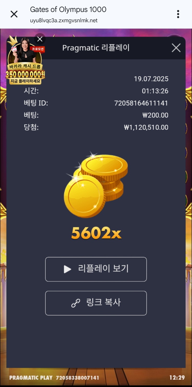 올림푸스1000  5602배
