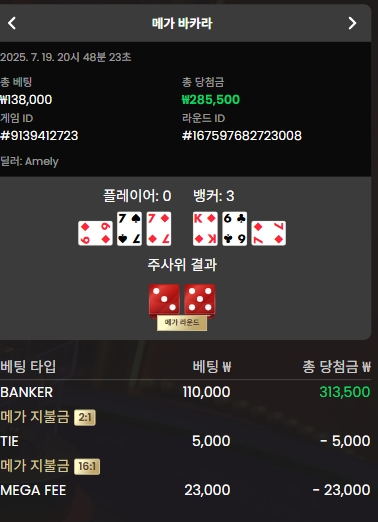 메가 바카라 승