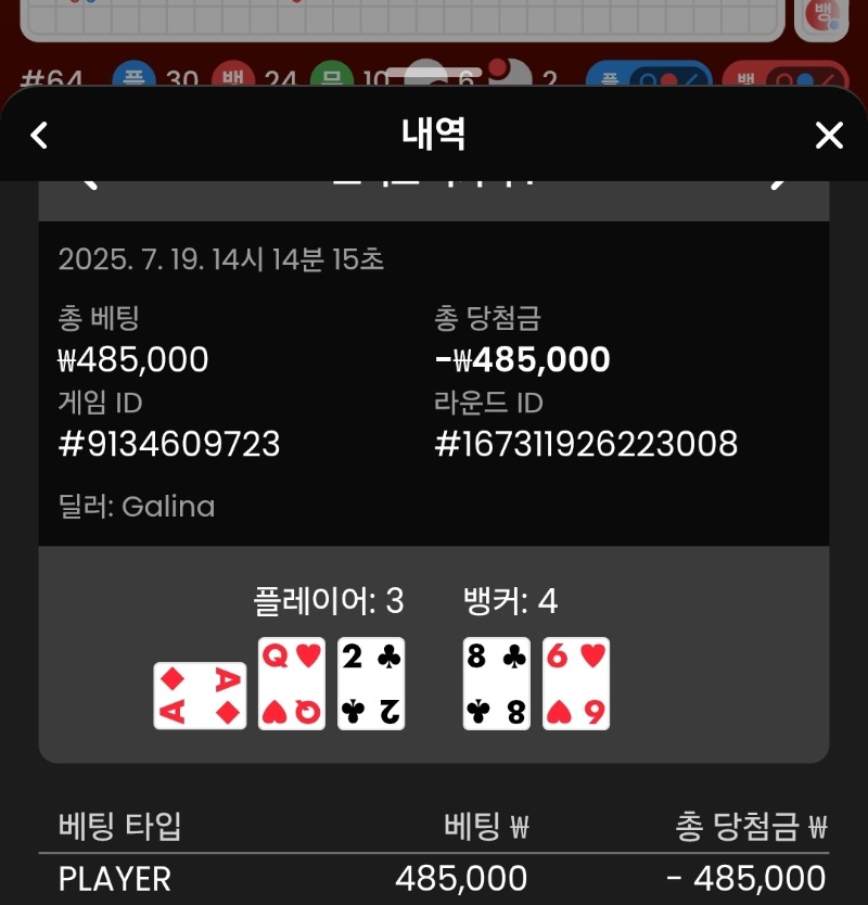 플레이어 패