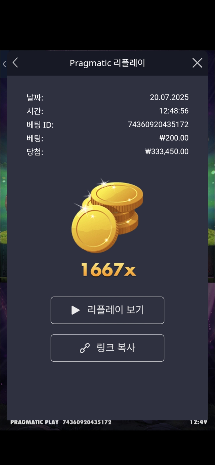 멀린1667배