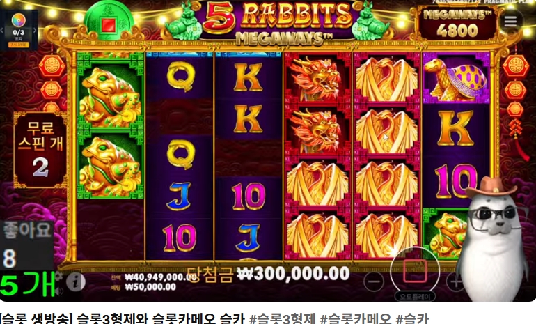 물개시작햇어요