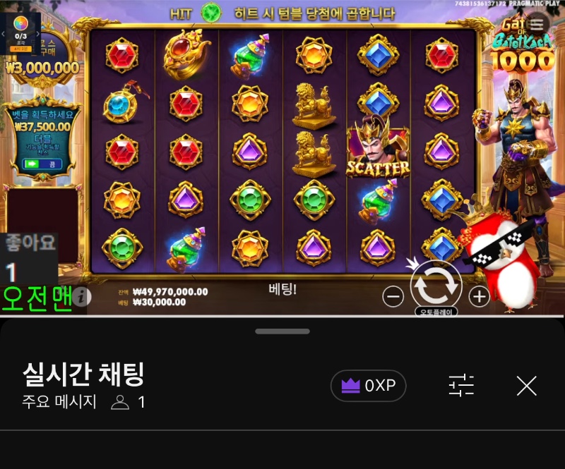 붱이 왔어요