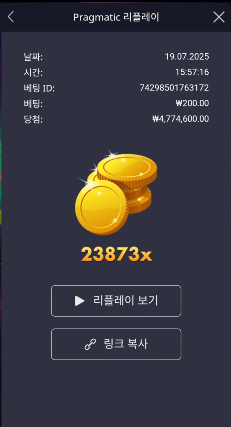 멀린 23873배