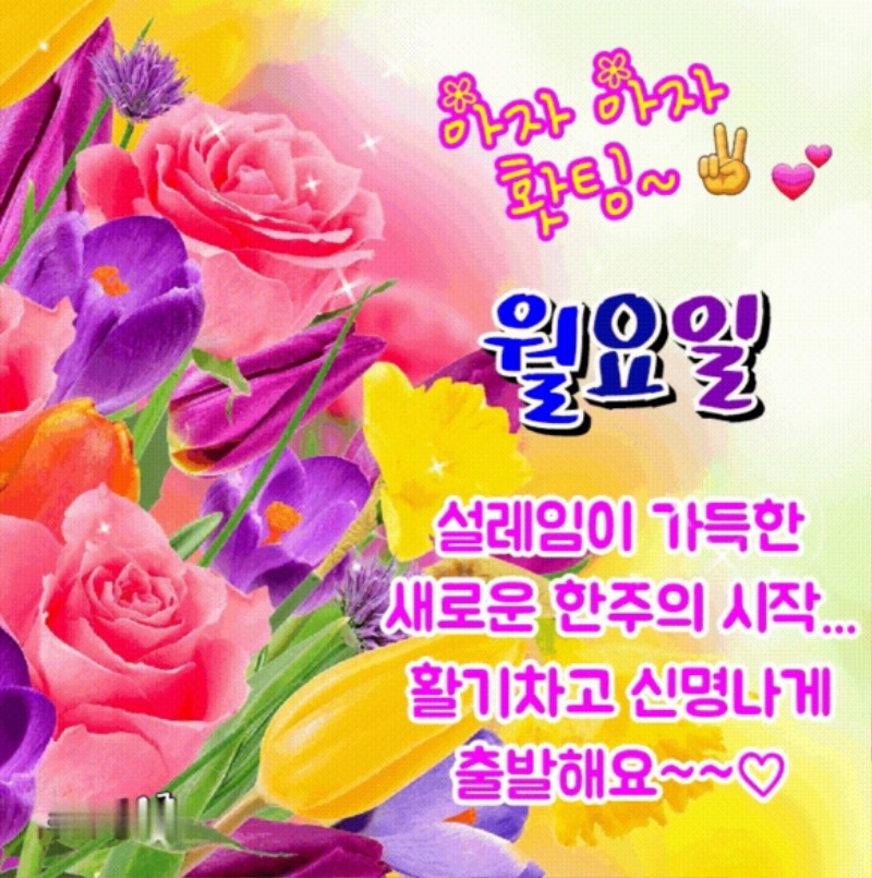출 완료