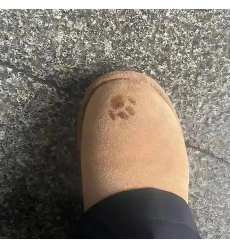 집사야 : 이거 갖고 가라