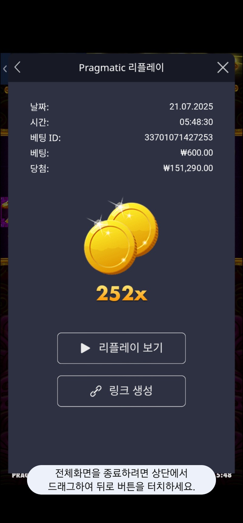 토라메 252배