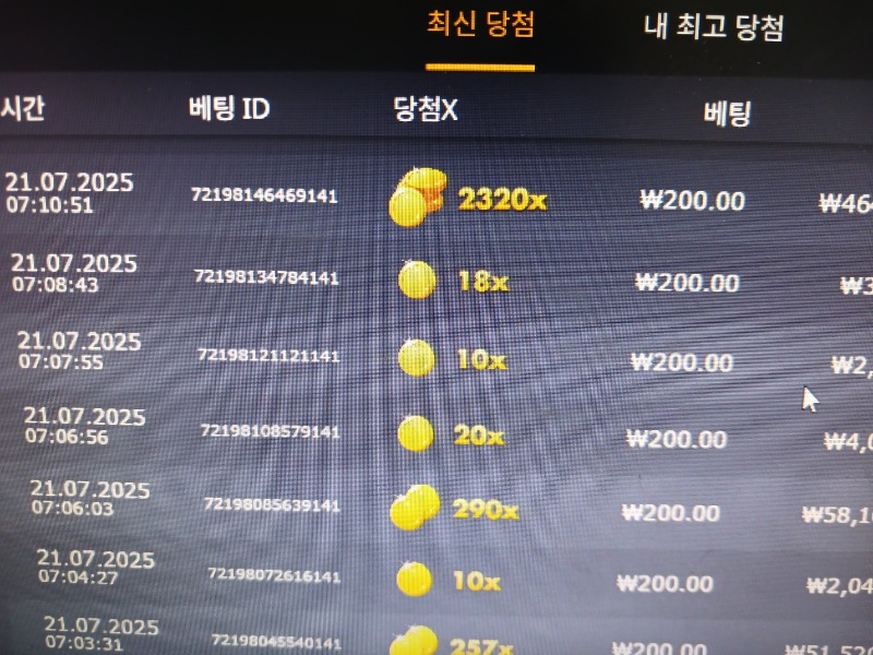 와일드 바이슨 2320