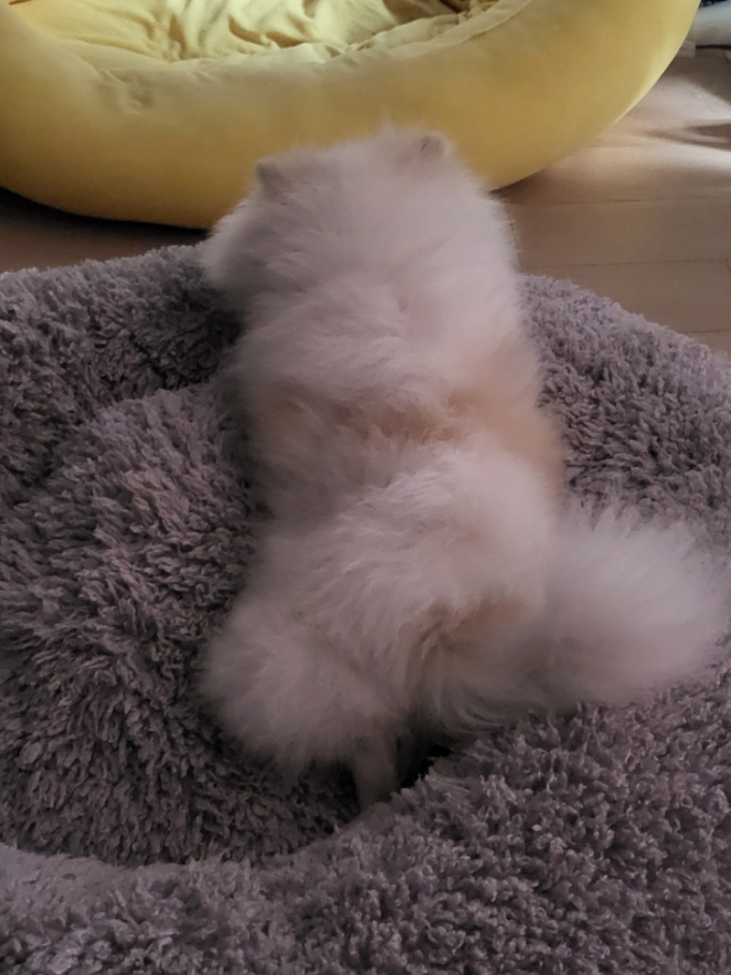 오늘문데이 첫충 40프로네용!