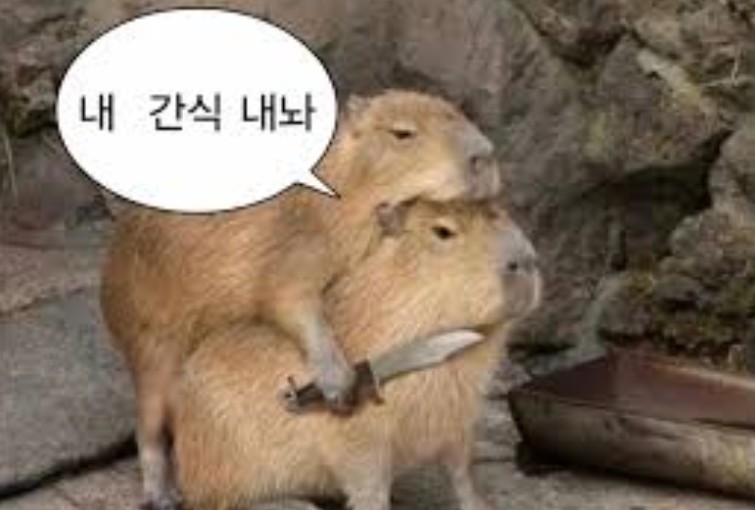 무조건 맛저 하시구요!!