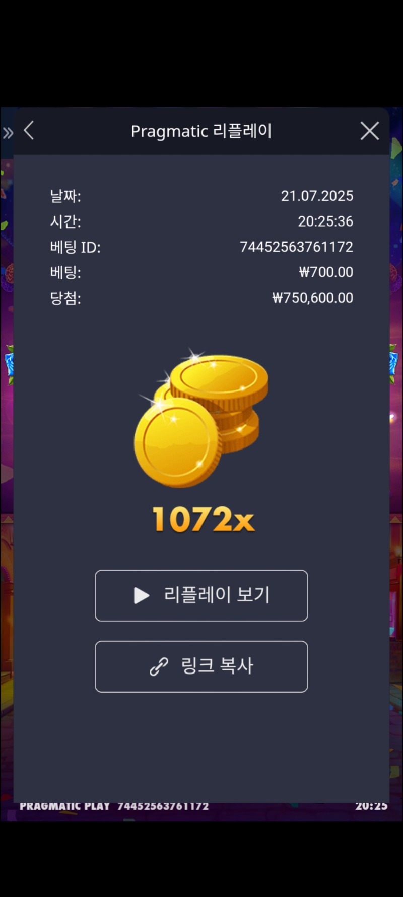 핫피에스타 1072
