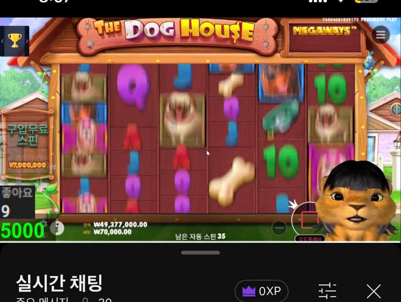 사자방송 시작~~