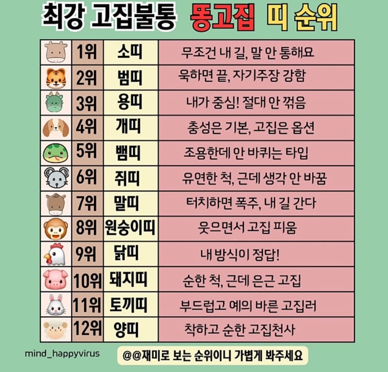 최강 고집불통 똥꼬집 띠 순위